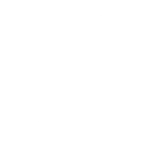 Varnika Insights | AI-Driven Business Consulting & Leadership Hiring - Introducing Varnika Consulting